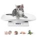 Hotfillere Digital Pet Scale Upgrade Multi-Function Small Animal Scale Max 33 lbs Puppy Weight Scale(kg/oz/lb) Portable Mini LCD Electronic Kitchen Scale for Hamster/Kittens/Small/Cats/Dogs/Food - Buy Online on GoSupps.com