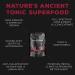 Organic Schizandra Extract - New England Grown (2oz) | Surthrival | Five-Flavored Berry Benefits - Buy Online on GoSupps.com