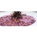Riso Vialone Nano Melotti I.G.P. 2.2lb - Premium Italian Risotto Rice - Buy Online on GoSupps.com