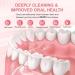 350mL Water Flosser - Cordless Dental Oral Irrigator with 6 Jet Tips 3 Modes USB Rechargeable IPX7 Waterproof - Perfect for Home & Travel (Pink - Buy Online on GoSupps.com