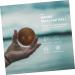 Healthball Baoding Balls - 1 Pair of Chinese Sound Balls for Stress Relief & Training - Buy Online on GoSupps.com