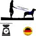 Twinkys Dog Style Tow Leash - 15mm Wide 40m Length Rubberized For Dogs Up to 50kg - Made in Germany - Durable Orange Dog Leash - Buy Online on GoSupps.com
