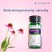 Avalife Immune Support Capsules with Andrographis, Elderberry, Echinacea | Natural Daily Immune Boost Supplement (60 Capsules) - Buy Online on GoSupps.com