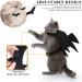 Shop Zoneyan Cat & Dog Halloween Costumes | Bat Wings Pet Costumes & Accessories - Buy Online on GoSupps.com