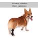 Dog Rear Leg Brace Prevent Licking Fixing Strap Spring Support Canine Rear Hock Support Pet Protective Gear for Leg Wounds Injuries Helps with Loss of Stability(XL) - Buy Online on GoSupps.com