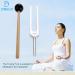 Dreld 440 Hz Tuning Fork | Aluminum Chakra Healing Tool with Silicone Hammer & Bag | DNA Repair Sound Therapy - Buy Online on GoSupps.com