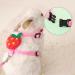 Buy Luojuny Rabbit Traction Line & Adjustable Chest Strap Kit - Perfect Towing Solution for Pets Cats & Rabbits | International Shipping Available - Buy Online on GoSupps.com
