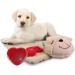 All for paws cuddly toy for dogs puppy toys dog heartbeat plush animal puppy behavioral help plush animal pet plush toy ... (Heart Beat Bear blanket)