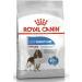 Royal Canin Medium Light Weight Care Adult Dry Dog Food 12kg Poultry 12 kg (Pack of 1) - Buy Online on GoSupps.com