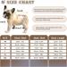 Convinite Recovery Suit for Dogs - Breathable Wound Protection After Castration | Male & Female Recovery Bodysuit | Brown Size M - Buy Online on GoSupps.com