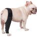 SEWOART Knee Paw Puppy Knee Pads Dog Elbow Protector Pet Injury Supply Balm Hind Leg Care XL 1 - Buy Online on GoSupps.com