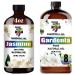 GV77ZF Essential Oil Set (2 Bottles one Bottle 4 fl oz/120 ml one Bottle 8 fl oz/240 ml) Pure Natural Gardenia Oil and Jasmine Essential Oil Suitable for use in diffusers humidifiers Skincare
