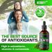 HERBIFY Organic Cilantro Tincture - 4 Fl Oz - Supports Detox, Antioxidants, Heart Health - Made in USA - Buy Online on GoSupps.com