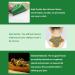 36PC Pain Relief Patches | Wormwood Knee Plasters & Moxibustion Neck & Lumbar Relief | Portable & Effective Pain Management - Buy Online on GoSupps.com