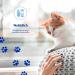 Inaba Churu Skin & Coat Cat Food - Creamy Pureed Chicken & Jakobsmussel - Omega 3 & 6 Taurin - 4 Tubes x 14g - International Shipping Available - Buy Online on GoSupps.com