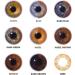 Chromaview Monochrome Daily Lenses - Rich Honey (Pack of 10) | Prescription-Free & International Shipping - Buy Online on GoSupps.com