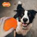 Laroo Dog Toys: Durable Natural Rubber Squeaker Dog Ball Football for Small & Large Dogs - 6.5*8cm Orange - Buy Online on GoSupps.com