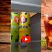 ThomsT Eistea Sparkling - Refreshing Iced Tea 24x25cl | Premium International Shipping - Buy Online on GoSupps.com