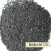 Babchi Carrier Oil (Psoralea Corylifolia) 100ml - 100% Pure, Natural & Cold Pressed - Buy Online on GoSupps.com