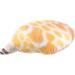 Zerodeko 4pcs Conch Pillow Doll Throw Pillows for Couch Bed Pillows Couch Pillows Throw Pillows for Bed Throw Pillow for Couch Sofa Pillow Home Pillow Plush Oysters Girl As Shownx4pcs 50.00X40.00X10.00CMx4pcs - Buy Online on GoSupps.com