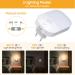 LED Night Light Socket with Twilight Sensor | 5 Adjustable Brightness & 3 Modes | Perfect for Kids' Rooms Bedrooms Kitchens Hallways & Stairs | 3000K Warm White - Buy Online on GoSupps.com