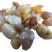 Natural Crystal Rough Natural Crystal Rough 50-100g 2-5cm Natural Gobi Agate Comes from Alxa China Fish Tank Decoration Stone Sugar Agate (Color : 50g Size : 2-5cm) 2-5cm 50g - Buy Online on GoSupps.com