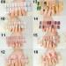 Full Cover Nail Art Tips 3D French Design Gel Nail Sticker Semi-cured Nail Stickers Korean Semi-baked(05) Style05 - Buy Online on GoSupps.com