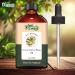 Green Coffee Bean Oil | Pure Natural Carrier Oil for Skincare Hair Care & Massage - 118ml/3.99fl oz | International Shipping - Buy Online on GoSupps.com