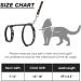 SCIROKKO Escape Proof Cat Harness and Lead Set - Luminous Moon and Star Design, Adjustable for Outdoor Walking - Safety Buckle, Black - Buy Online on GoSupps.com