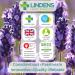 Lindens Milk Thistle Seed Extract 100mg - 120 Tablets | High Strength 2000mg eq | Liver Detox & Support Supplement - Buy Online on GoSupps.com