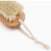 Shoe Brush Cleaning Brush Wooden Laundry Brushes Household Washing Clothes Cleaning Brush Plate Brush Shoes Wash Bristle Brush Brush Onecolor - Buy Online on GoSupps.com
