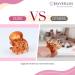 JASVERLIN Clear Small Hair Clips - 50pcs Mini Claw Clips for Fine Thin Hair - Non-Slip Strong Grip Hair Accessories for Women and Girls - Buy Online on GoSupps.com
