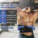 Back Support for Pain Relief - Breathable Lumbar Belts for Men & Women | Decompression Cushion for Herniated Disc & Sciatica - Black - Buy Online on GoSupps.com