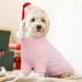 Elegant Hjumarayan Dog Sweater for Medium Dogs - Warm & Stylish Pink XL Sweater with Leash Hole for French Bulldogs - Buy Online on GoSupps.com