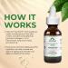 SKIN DEVA Matrixyl Synthe 6 Hyaluronic Acid Anti-Aging Facial Serum - Buy Online on GoSupps.com