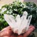 350g-900g Natural Clear Quartz Stone White Crystal Cluster 1pc HOMEZHOU (Color : 1pc 510g-560g) - Buy Online on GoSupps.com