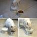 FOREYY Raised Ceramic Cat Food and Water Bowl Set with Anti-Slip Stand - Stress-Free, Backflow Prevention, Dishwasher & Microwave Safe - White - Buy Online on GoSupps.com