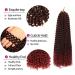 Passion Twist Hair - 6 Packs 18 Inch Faux Locs Crochet Extensions | Yddm Synthetic Hair - T1B-Bug Economy Pack - Buy Online on GoSupps.com