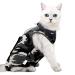 Ouuonno wound surgery recovery suit for cats in abdominal wounds or skin diseases after operation pajama suit e-collar alternative for cats camouflage medium