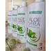 LR Health&Beauty Lifetakt Aloe Vera Drinking Gel Intense Sivera Health Care Women Men Drink Every Day Natural Treatment - 1000 ml./33.3 fl.oz - Buy Online on GoSupps.com