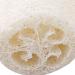 SmarTopus 5-Pack Premium Natural Loofah Sponges - Exfoliating Body Scrubber for Bath, Spa, Shower - Kitchen, Bathroom Dishes - Eco-Friendly - Buy Online on GoSupps.com