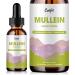 Mullein Drops for Lungs Mullein Leaf Extract with Marshmallow Root Perilla & Astragalus for Respiratory Support Immune Boost & Lung Detox Natural Herbal Formula Vegan 2 fl oz 2 Fl Oz (Pack of 1)