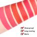 FAEYLI MAKEUP Matte Liquid Lipstick - 24 Hour Stay Waterproof Long Lasting Lip Gloss (Artist FAEYLI) - Buy Online on GoSupps.com