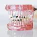 Orthodontic Braces Rubber Chains - Elastic Power Chains for Dental Supplies - Buy Online on GoSupps.com