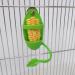 2 Pcs Bird Food Container Plastic Cuddle Bone Feeding Racks Vegetable Fruit Holder Hanging Feeder Parrot Cage Stands Accessories for Bird Parrot - Buy Online on GoSupps.com