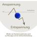 2x DBT Skills Hedgehog Ball - Magnetic Acupressure Stress Relief & Massage | Blue Matt 32mm for Tension Relief & Increased Mobility - Buy Online on GoSupps.com