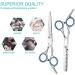Bubuxy Hair Scissors - Professional Hairdressing Kit with Thinning Shears - Buy Online on GoSupps.com