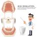 High-Scaled 32-Teeth Dental Model with Soft and Solid Gums for Training | Ideal for Dentists & Educators - Buy Online on GoSupps.com