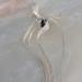 Limtula Check Ribbon Bowknot Ballet Style Hair Claw Clip for Girl Hair Clamps Clip Hair Style Tool French Jaw Clip Headwear Purple - Buy Online on GoSupps.com