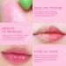 Evpct 2Pcs Aloe Vera Tinted Lip Balms | Color Changing Lipstick Balm Stain Gift Set | Long Lasting Korean Lip Tint Plumper Gloss - 2 Count - Buy Online on GoSupps.com